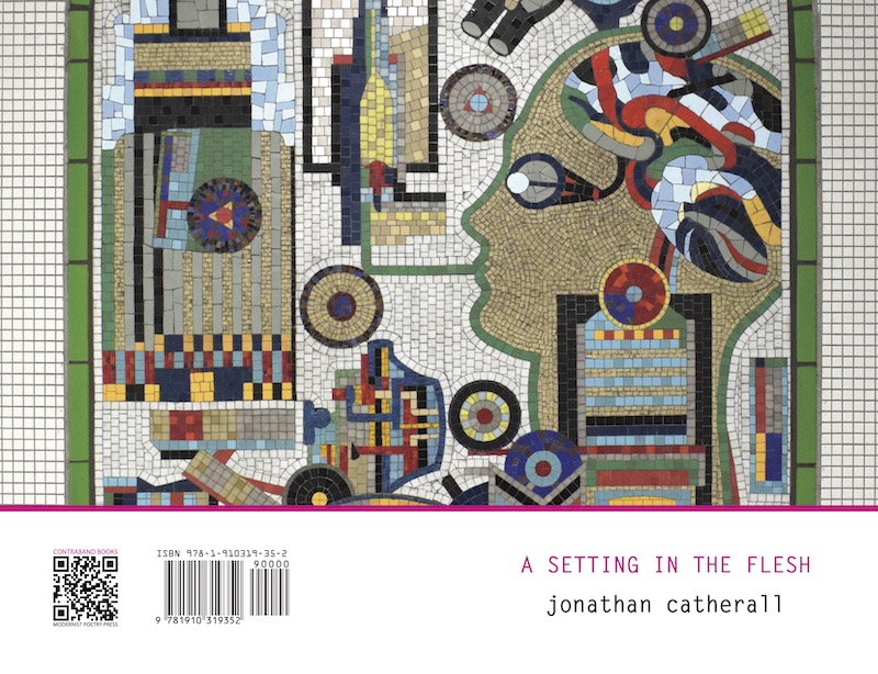 A Setting in The Flesh by Jonathan Catherall